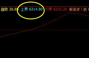 棕榈  盘面价格高点，精准触及系统上界