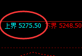 PTA：跌超2.4%，日线试仓高点，精准触及并极端快速回撤