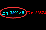 豆粕：修正低点精准触及并快速止跌回升