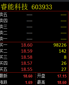 睿能科技 603933：VIP精准抄底策略，今日早盘快速涨停