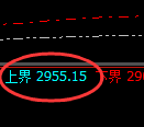 菜粕：4小时低点，精准展开振荡修正