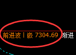 棕榈：日线结构，精准展开规则化强势振荡