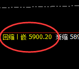 PTA：日线低点，精准进入振荡强势反弹