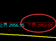 豆粕：试仓低点，精准进入振荡强势回升