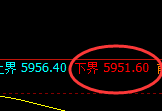 PTA：试仓低点，精准展开积极回升