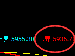 PTA：试仓低点，精准开启积极振荡回升