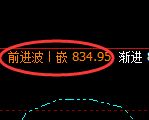 铁矿石：日线高点，精准展开极端快速回落