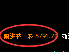 纸浆：修正高点，精准展开大幅极端回落