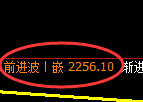 菜粕：日线高点，精准展开冲高回落