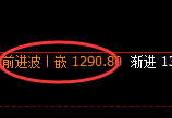 焦煤期货：日线低点，精准展开极端强势拉升