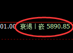 纸浆期货：试仓高点，精准展开直线跳水