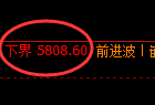 纸浆期货：修正高点，精准展开单边快速下行